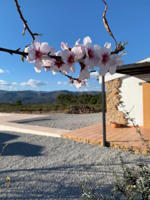 La Llobatera Casa Rural Les Coves de Vinroma Esterno foto